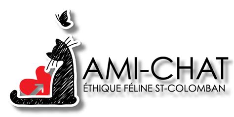 ami chat saint etienne|Saint